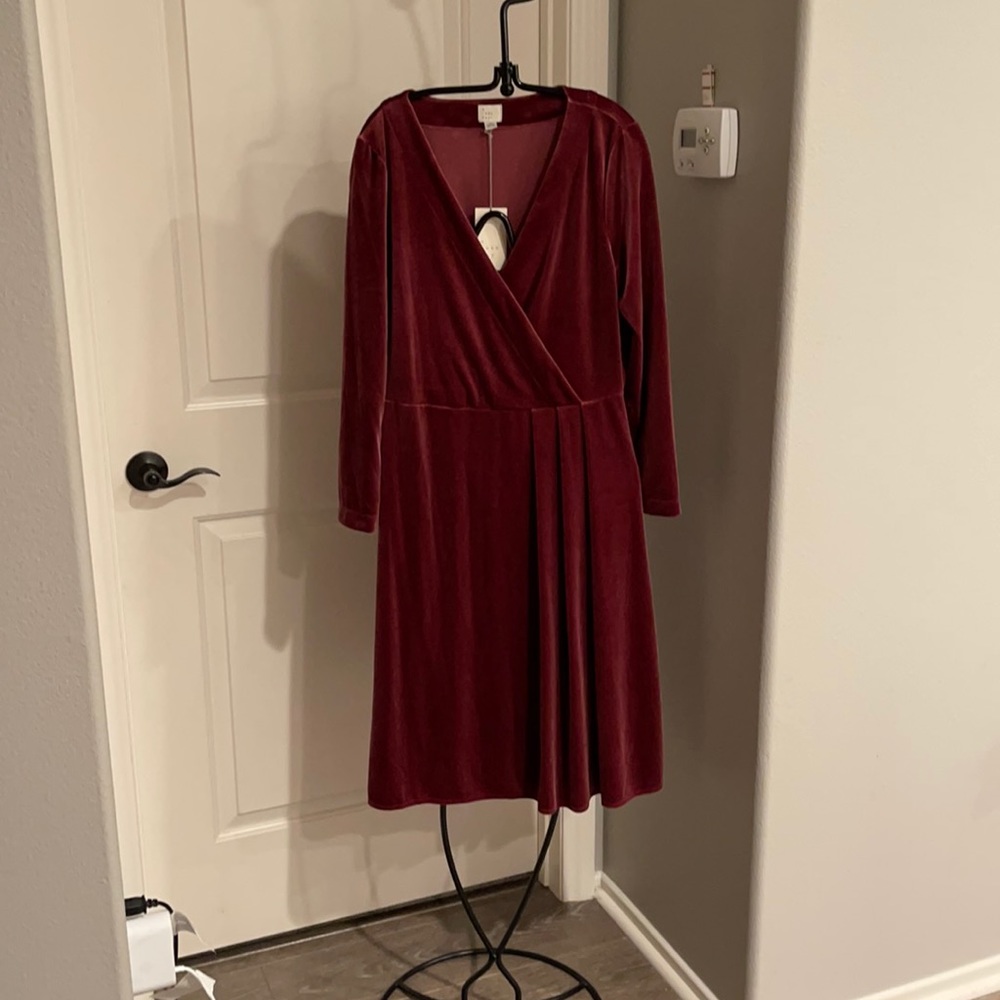 A New Day Burgundy V-Neck Velour Dress